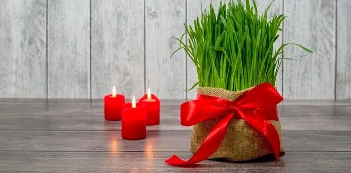 عکس سبزه و هفت سین عکس سبزه و هفت سین