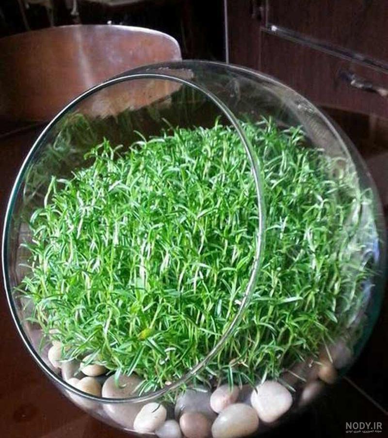 عکس ماشین سبز عکس ماشین سبز