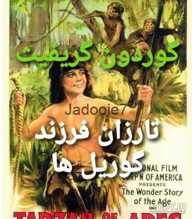 tarzan عکس با کیفیت tarzan و وکتور لایه باز tarzan پارس استاک | شاتر استوک  پارسی
