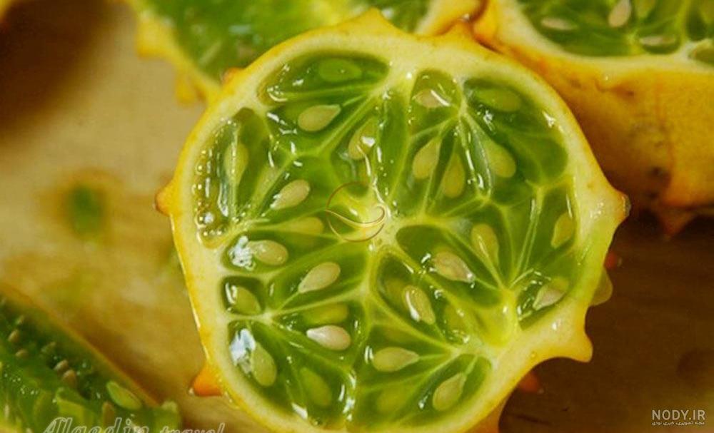 این میوه‌ها در استان بوشهر دیگر فرنگی نیستند+ عکس