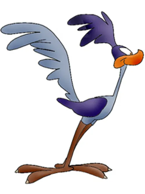 دانلود کالکشن کارتون میگ میگ Wile E. Coyote and Road Runner