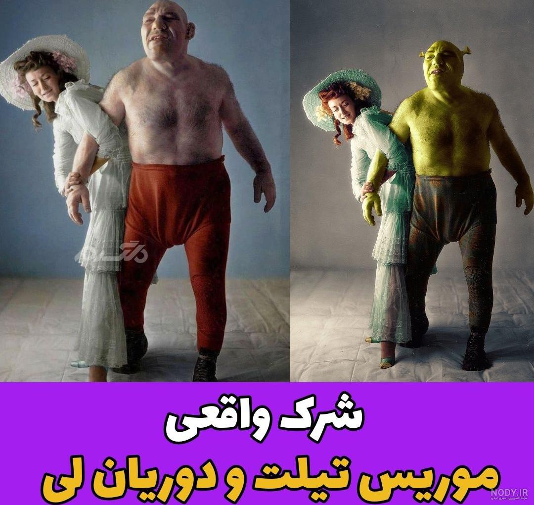 عکس اژدها شرک - عکس نودی