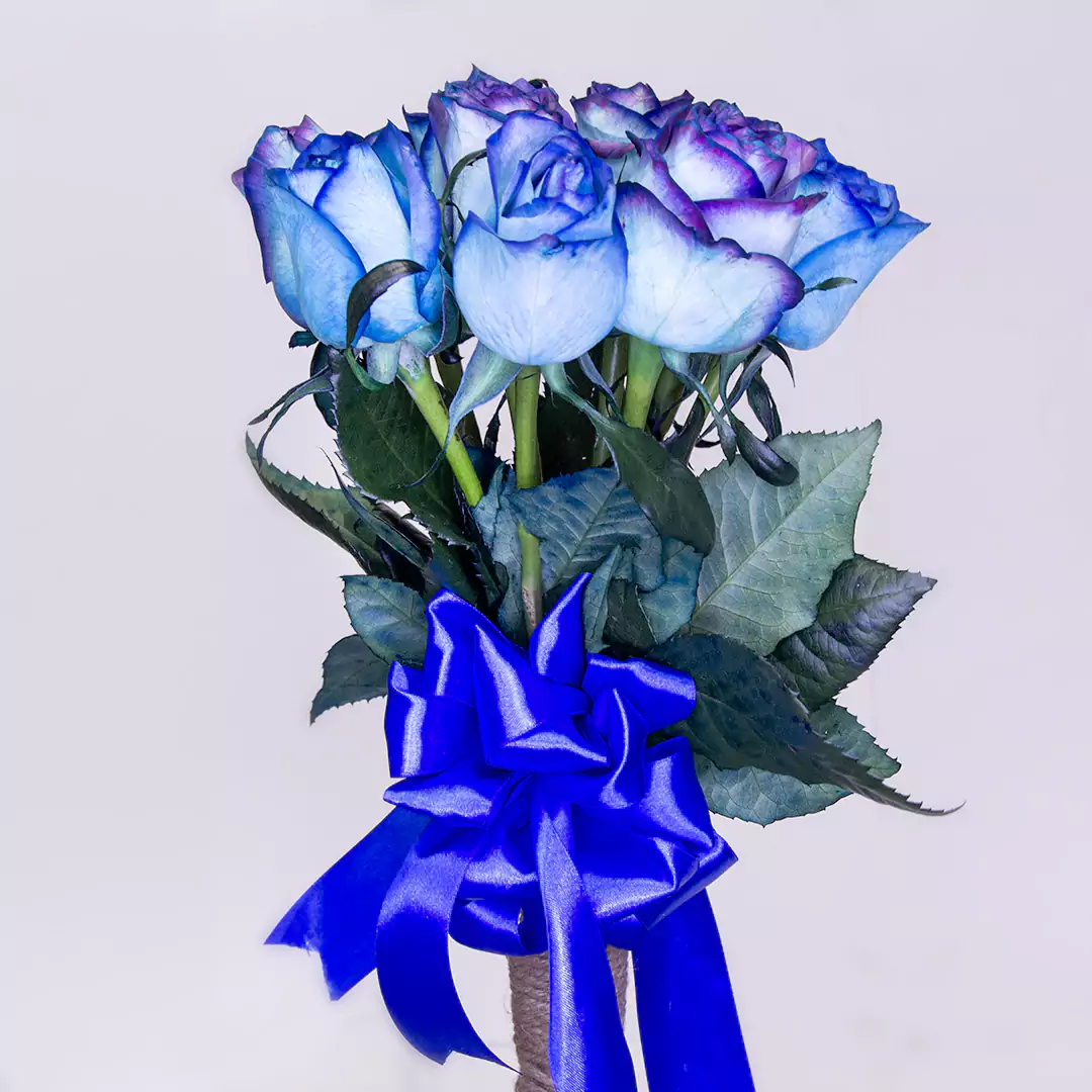 عکس گل آبی برای پروفایل
