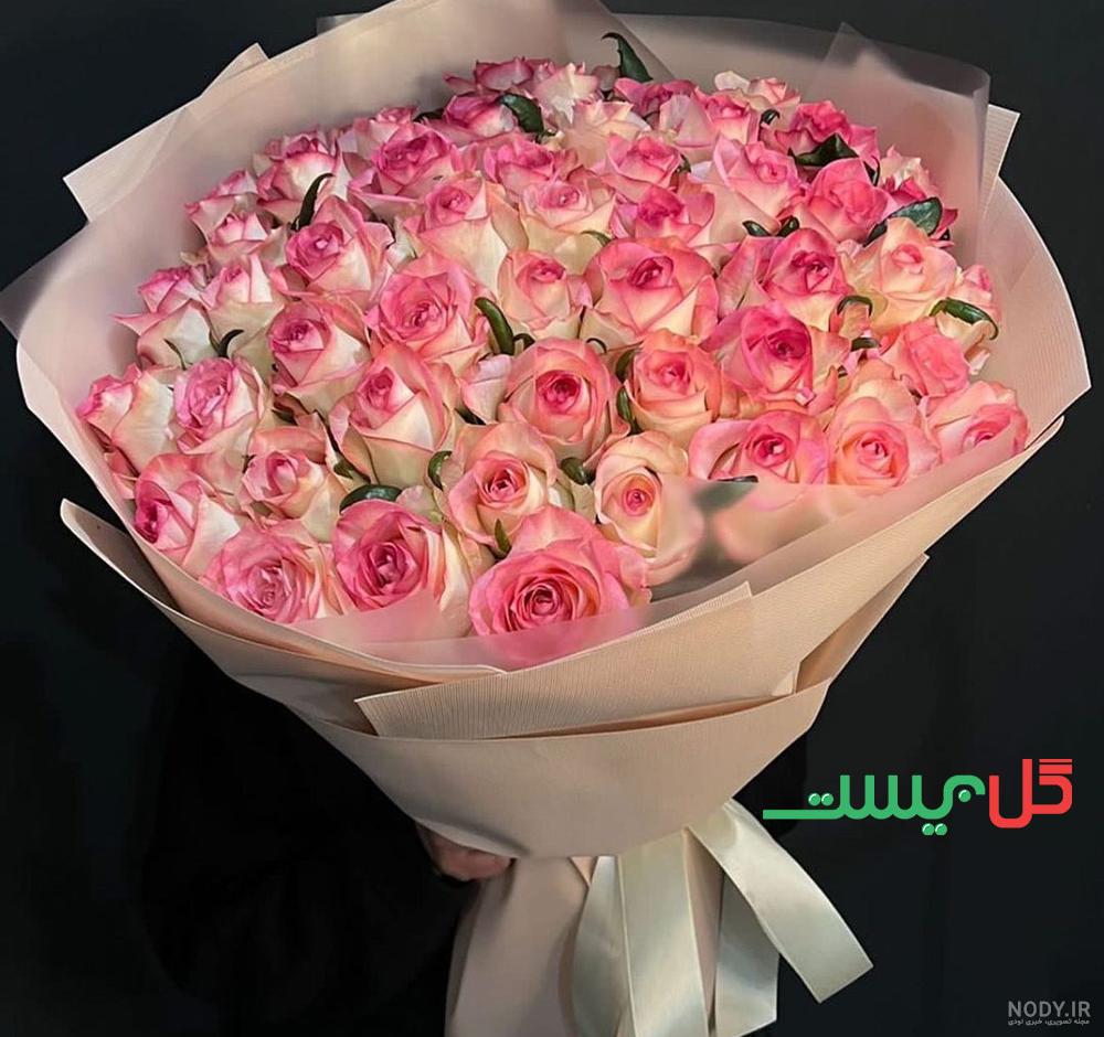 عکس گل رز برای روز معلم عکس گل رز برای روز معلم