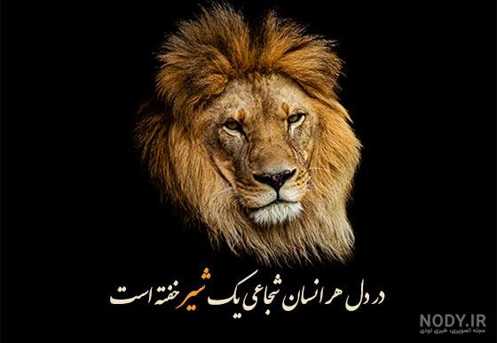 عکس شیر ماده پشت سر بچه