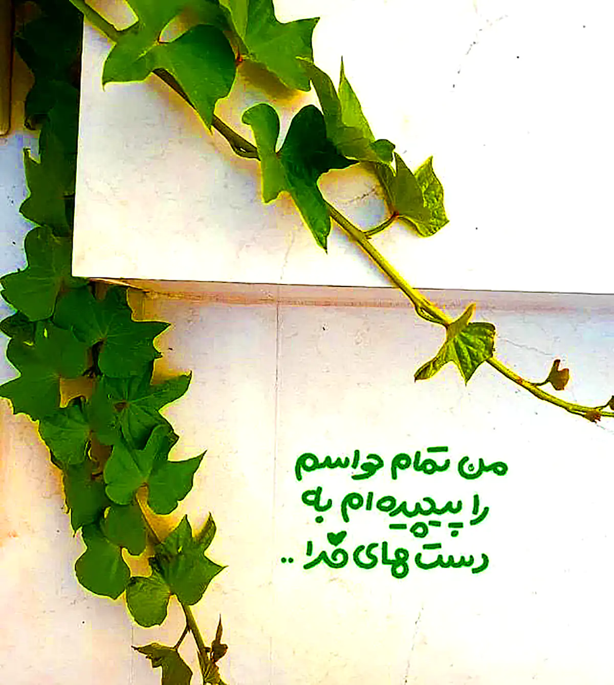 عکس پروفایل بچه هام دنیای منن