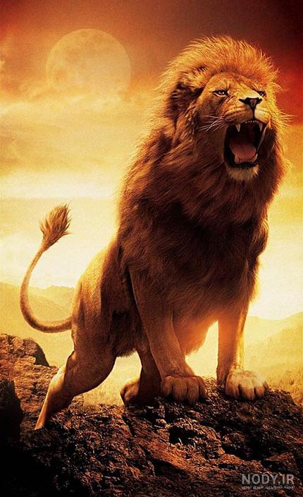 دانلود عکس HD و 4K ببر برای تصویر زمینه و پروفایل دانلود عکس HD و 4K ببر برای تصویر زمینه و پروفایل