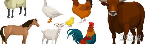 دانلود کاراکتر کارتونی گوسفند در دو حالت ساده و نقاشی شده ، مناسب برای کتاب  رنگ
