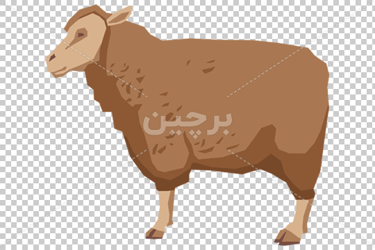 شوخی