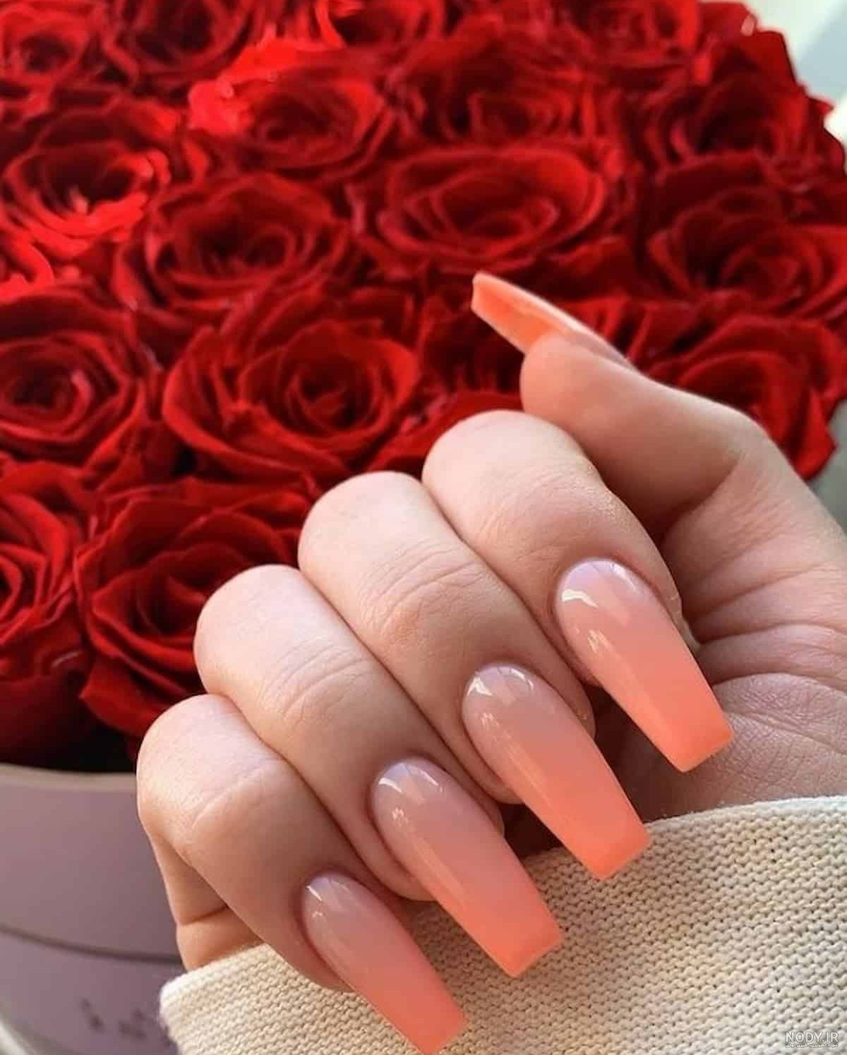 زیباترین مدل های ناخن هلویی ۱۴۰۴: ساده، فرنچ، کروم، شاین، کوتاه و دخترانه