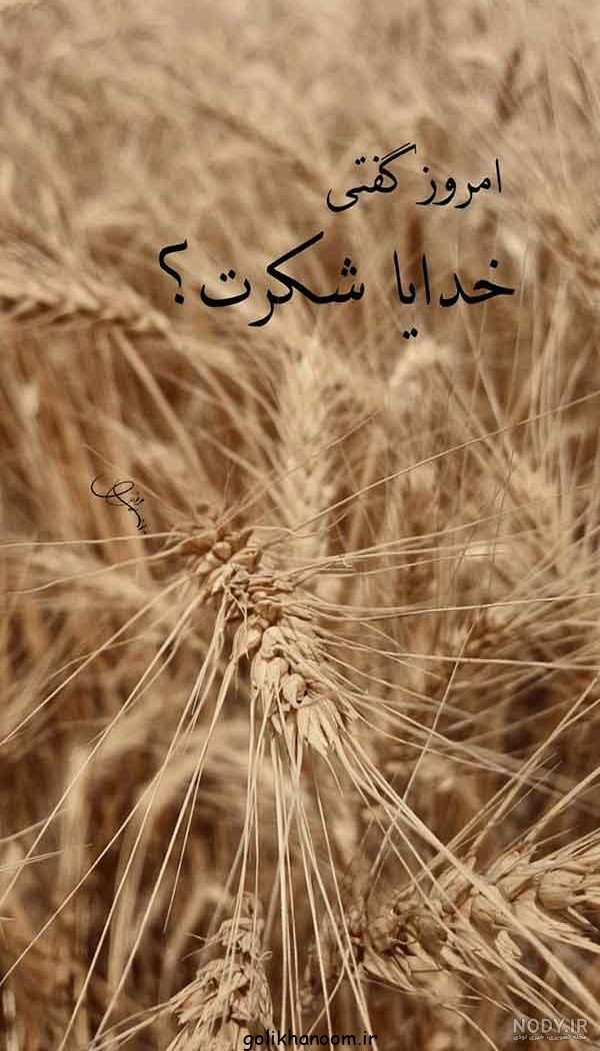 دانلود بهترین عکس های پس زمینه خدایا شکرت برای گوشی و کامپیوتر در سال 1404
