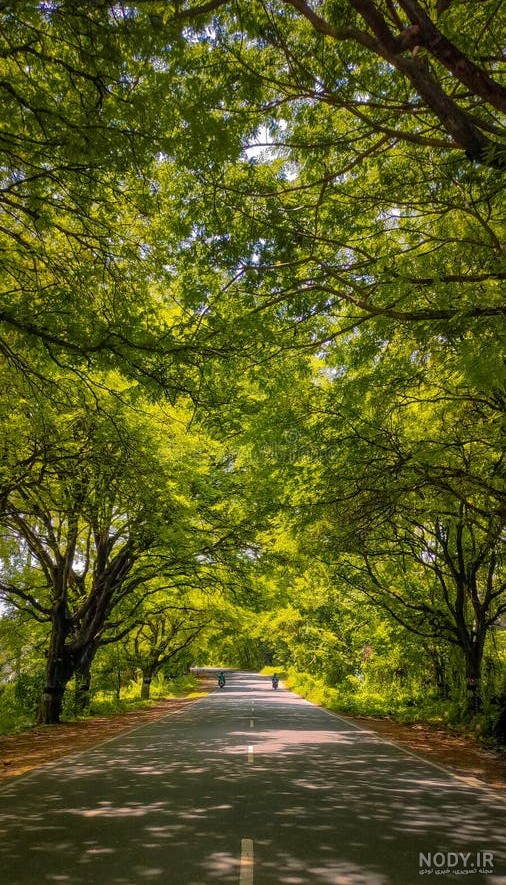تصاویر پس زمینه جاده ای ۲۰۲۵: جاده چالوس، HD، 4K، ویرایش حرفه ای، مناسب گوشی و کامپیوتر