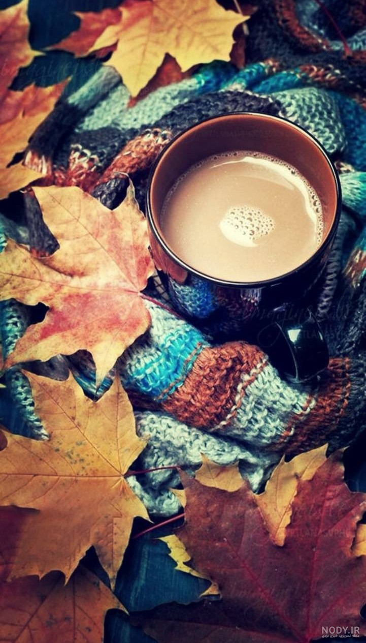تصاویر پس زمینه قهوه ای ساده، فانتزی و خرسی برای گوشی و کافی شاپ در سال ۲۰۲۵