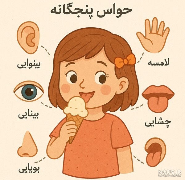 تصاویر هنری حواس پنج گانه برای کودکان و دانش آموزان در سال ۱۴۰۴