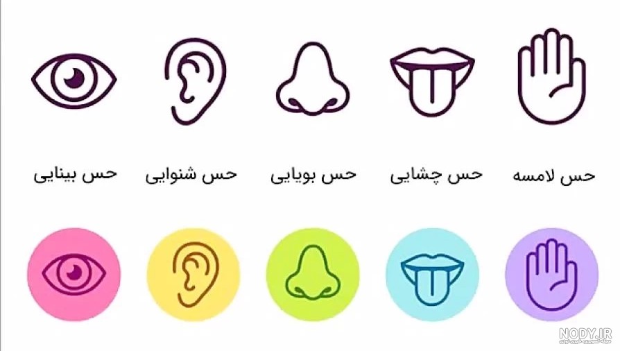 نقاشی حواس پنج گانه کودکانه و ساده برای آموزش در سال 2025 میلادی و 1404 شمسی