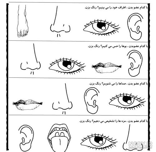 تصویرسازی حواس پنجگانه در نقاشی های آموزشی و کودکانه سال 2025