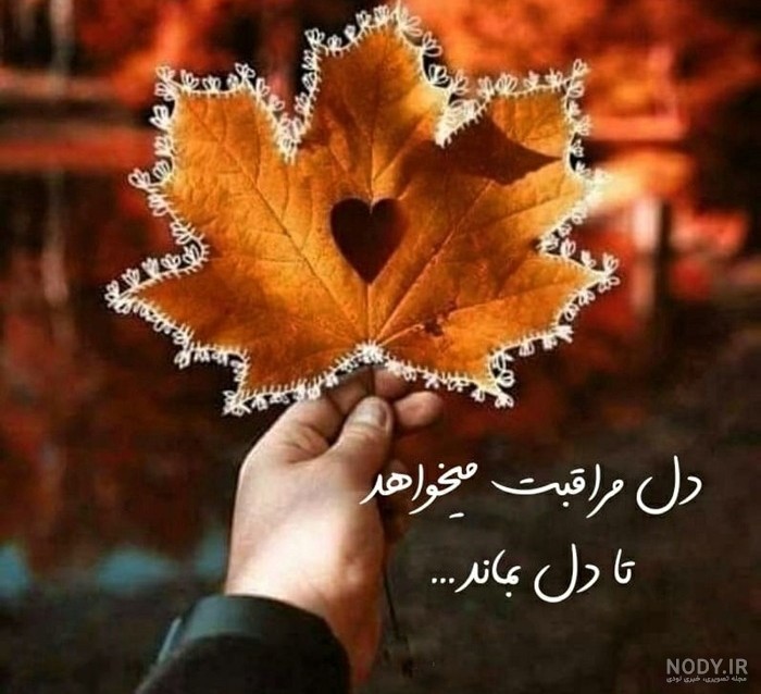 50 ایده برتر برای عکس پروفایل جذاب و تأثیرگذار