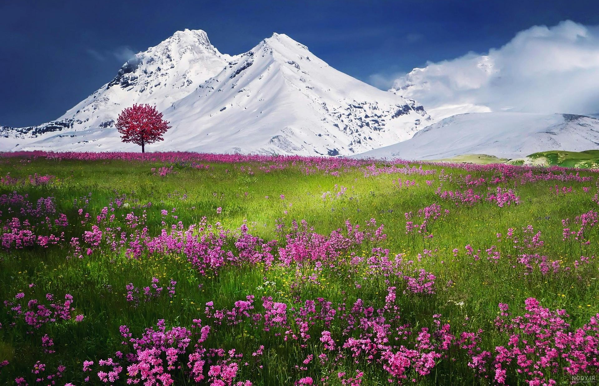 عکس پس زمینه ساده و زیبا طبیعت با کیفیت بالا برای گوشی و پروفایل در سال 1404