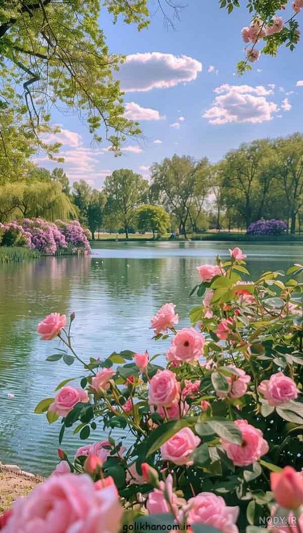 45 عکس پس زمینه طبیعت ساده و زیبا