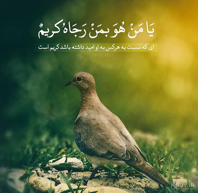 تصاویر پروفایل قرآنی زیبا و خاص برای سال ۱۴۰۴؛ مناسب دخترانه، پسرانه و مذهبی، با آیات و معانی عمیق