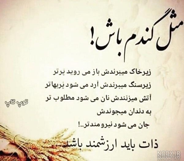 عکس پروفایل ذات بد و بی ذات؛ بدون متن، با حجاب، یا خاص، نماد شخصیت منفی است در ۱۴۰۴.
