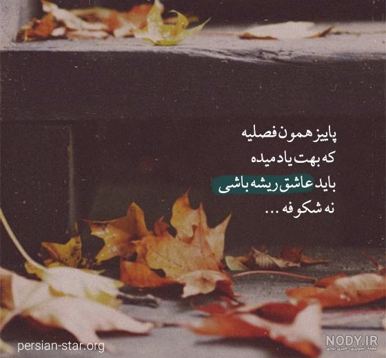 عکس پروفایل ذات بد و بی ذات؛ نماد آدم های بدذات و خاص بدون متن در سال 1404