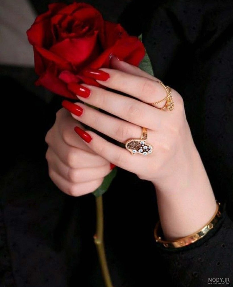 40 عکس پروفایل دخترونه گل رز